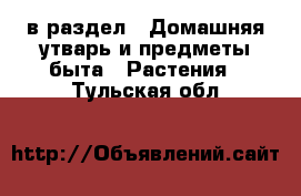  в раздел : Домашняя утварь и предметы быта » Растения . Тульская обл.